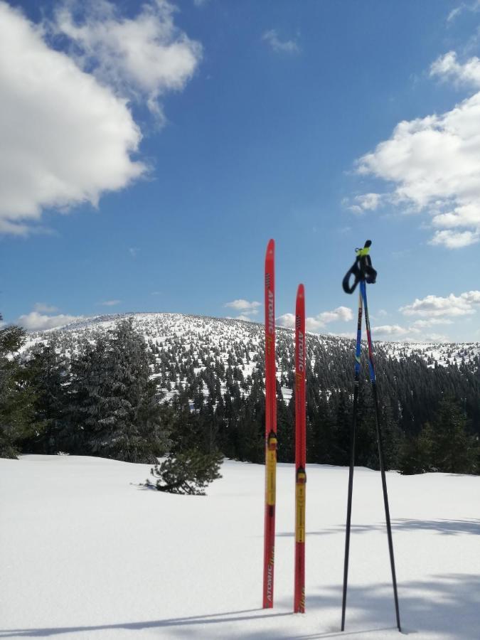 Dame Vam Pokoj - 4 Pokoje Se Sdilenou Kuchyni, Kapacita Max 9 Osob Harrachov Exterior foto