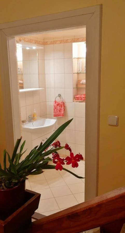 Dame Vam Pokoj - 4 Pokoje Se Sdilenou Kuchyni, Kapacita Max 9 Osob Harrachov Exterior foto