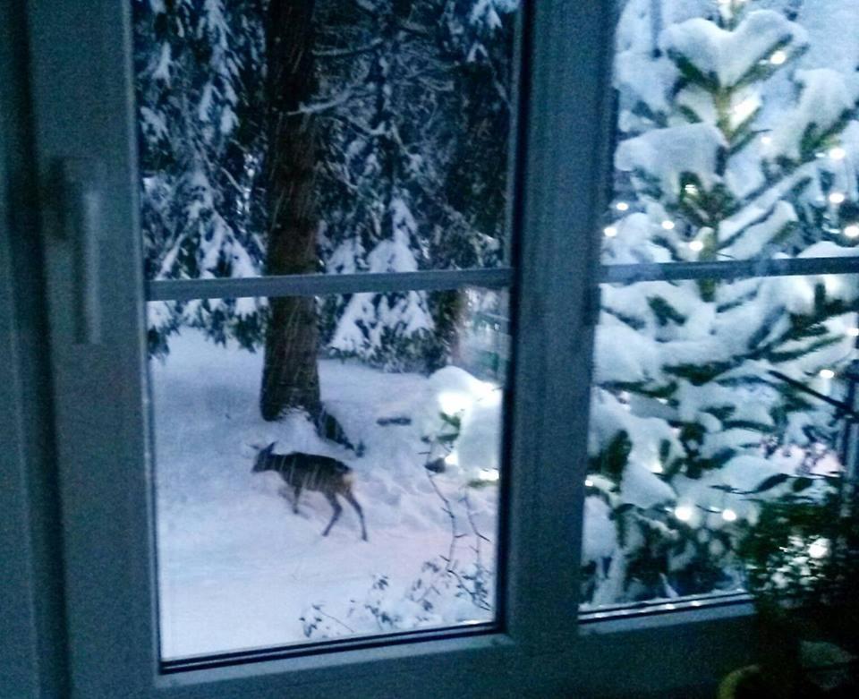 Dame Vam Pokoj - 4 Pokoje Se Sdilenou Kuchyni, Kapacita Max 9 Osob Harrachov Exterior foto